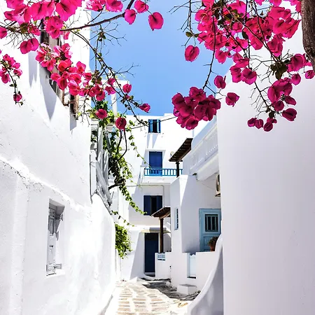 Aniko White Alley